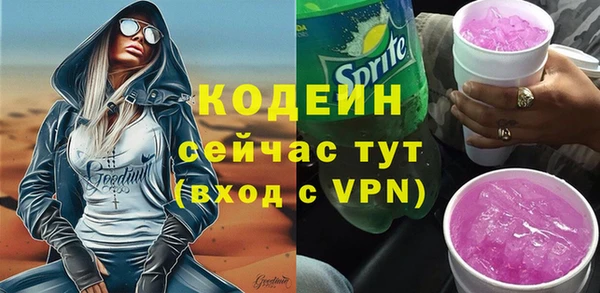 метадон Няндома