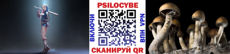 Галлюциногенные грибы Magic Shrooms  blacksprut онион  Тырныауз 